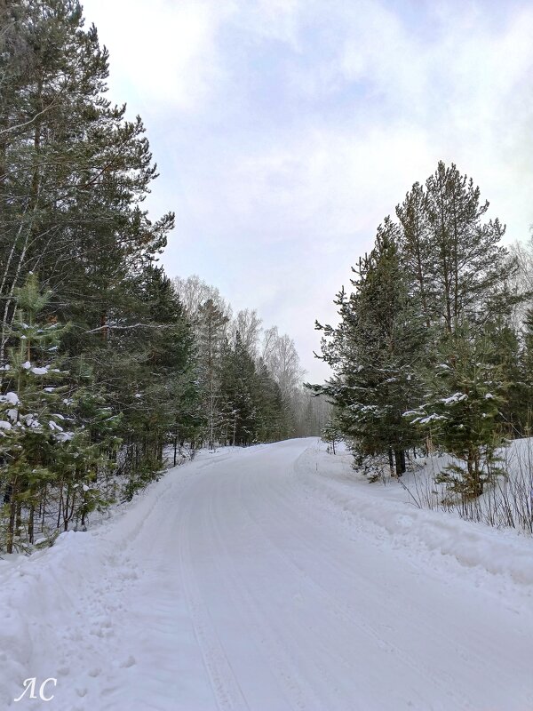Зимняя дорога - Любовь Сахарова