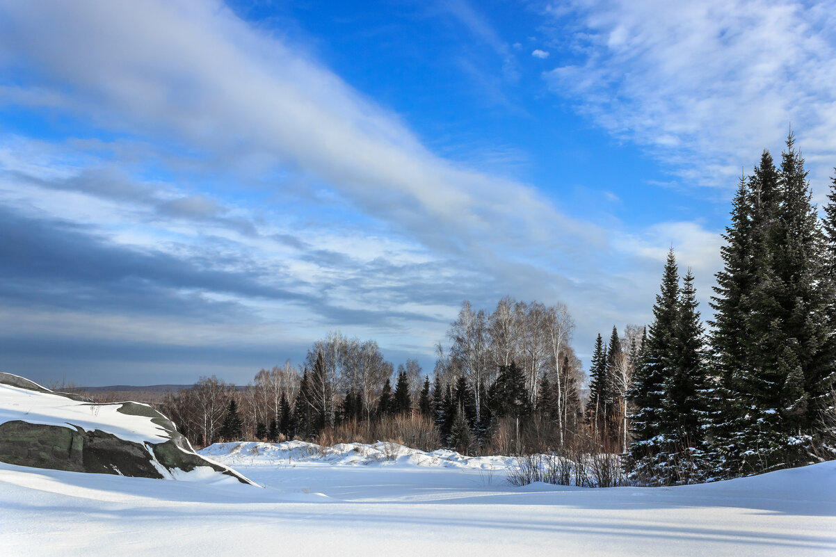 Зимой в тайге - Сергей Борисович 