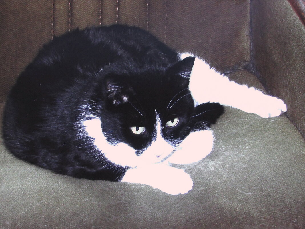 Хорошо устроился - Людмила Смородинская Хорошо устроился - Людмила Смородинская