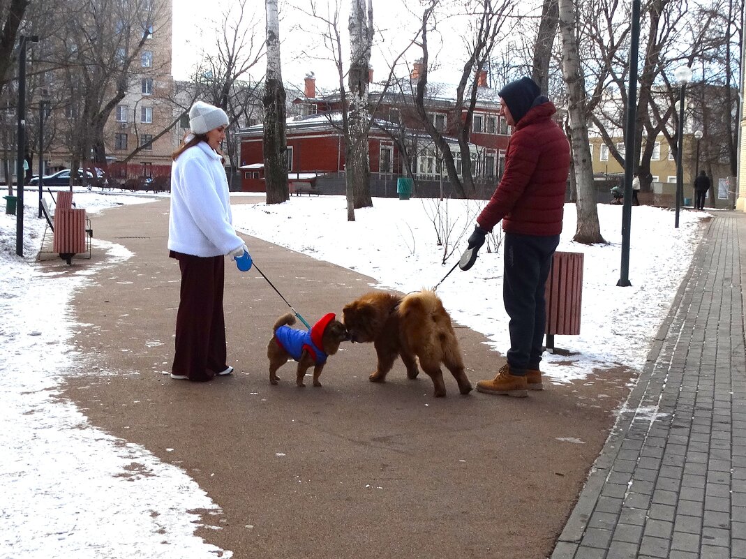 Контакт - svk *