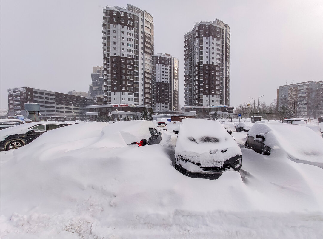 Утро нового дня - **** vedin
