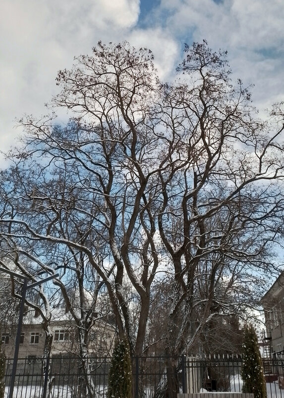 *** - Валентина Береснева