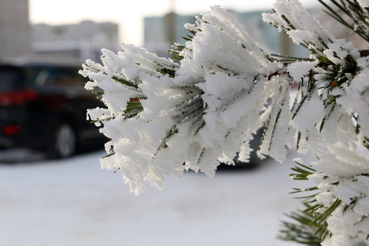 С-нежность - Ольга С-нежность - Ольга