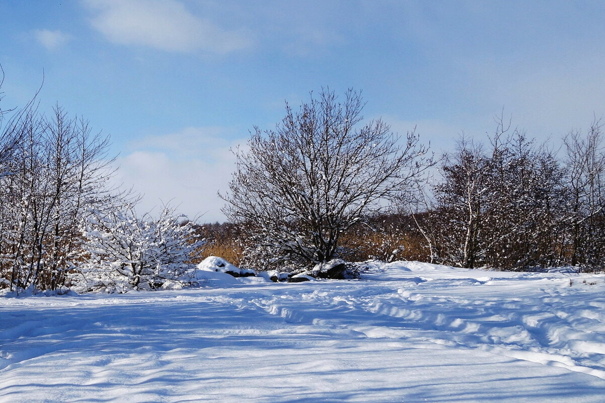 В окрестностях Калининграда - Рита Симонова В окрестностях Калининграда - Рита Симонова