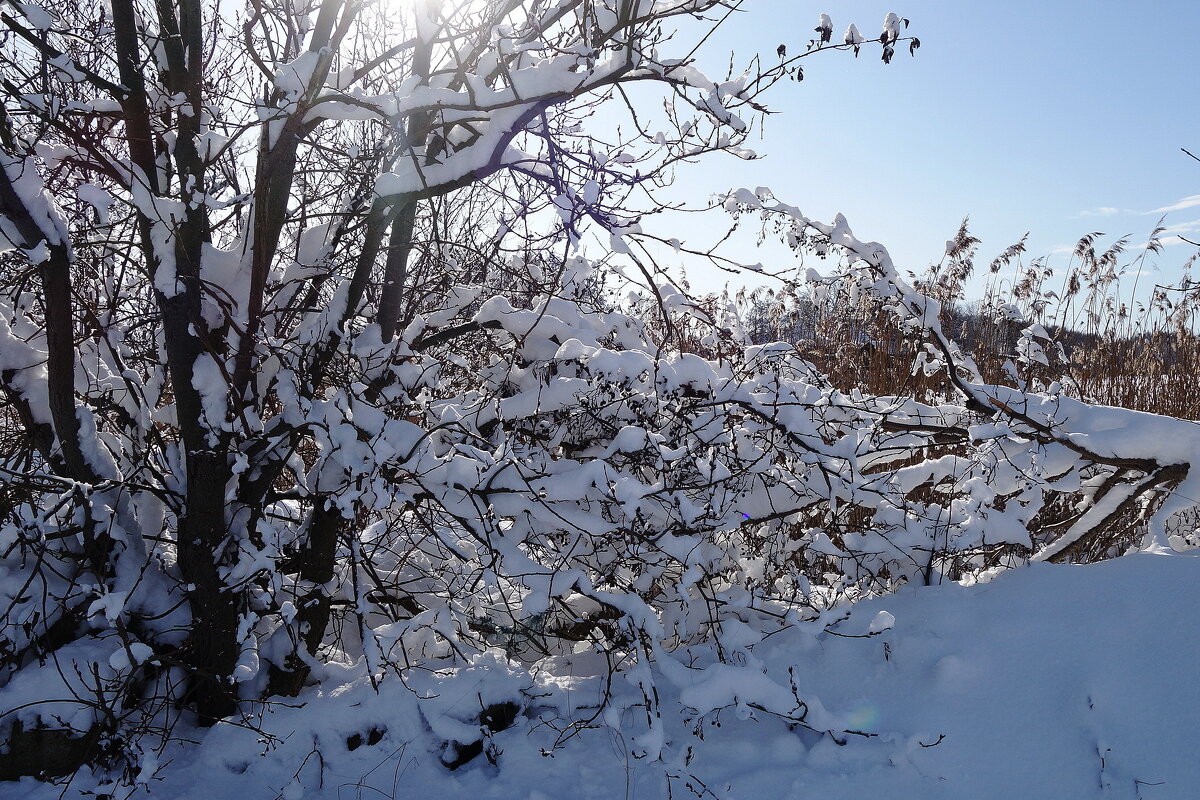 В окрестностях Калининграда - Рита Симонова В окрестностях Калининграда - Рита Симонова