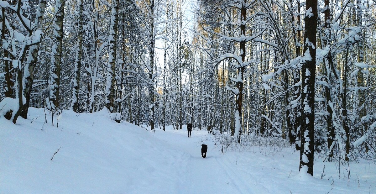 прогулка - Владимир прогулка - Владимир
