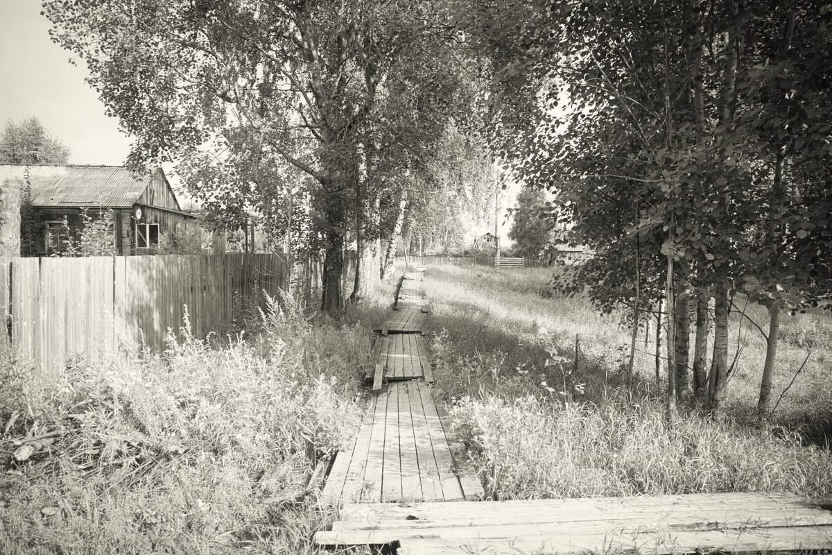 Название отсутствует - Денис Безногов Название отсутствует - Денис Безногов