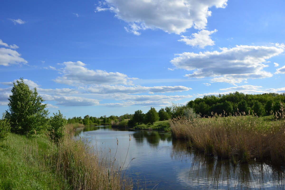 Местная река. - Виктор Местная река. - Виктор