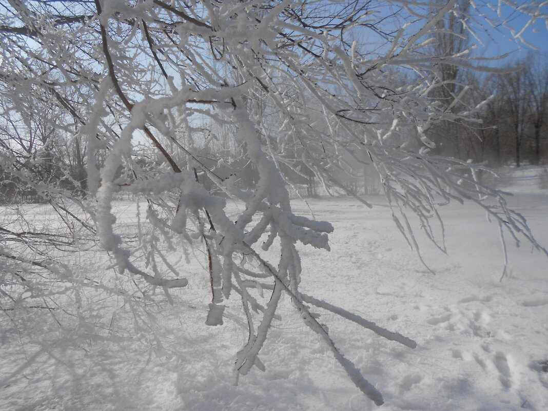 февраль - Елена Шаламова
