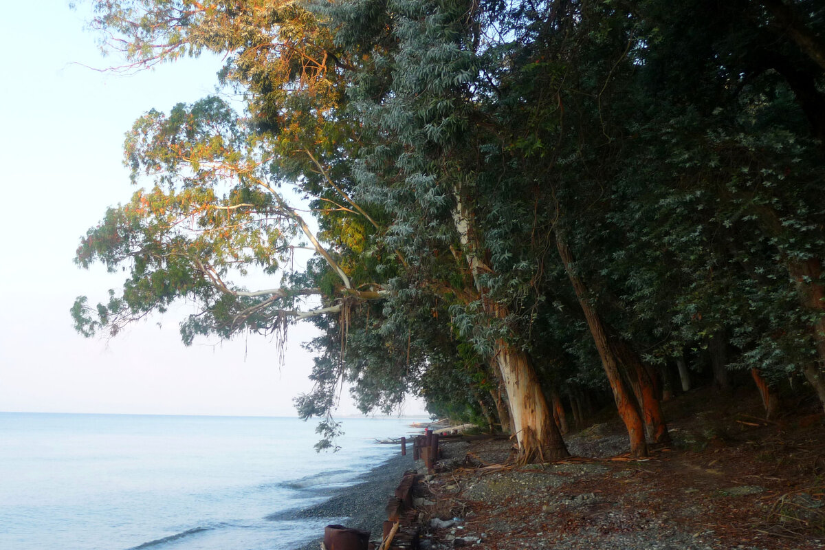 Абх - Андрей Л. В. Абх - Андрей Л. В.