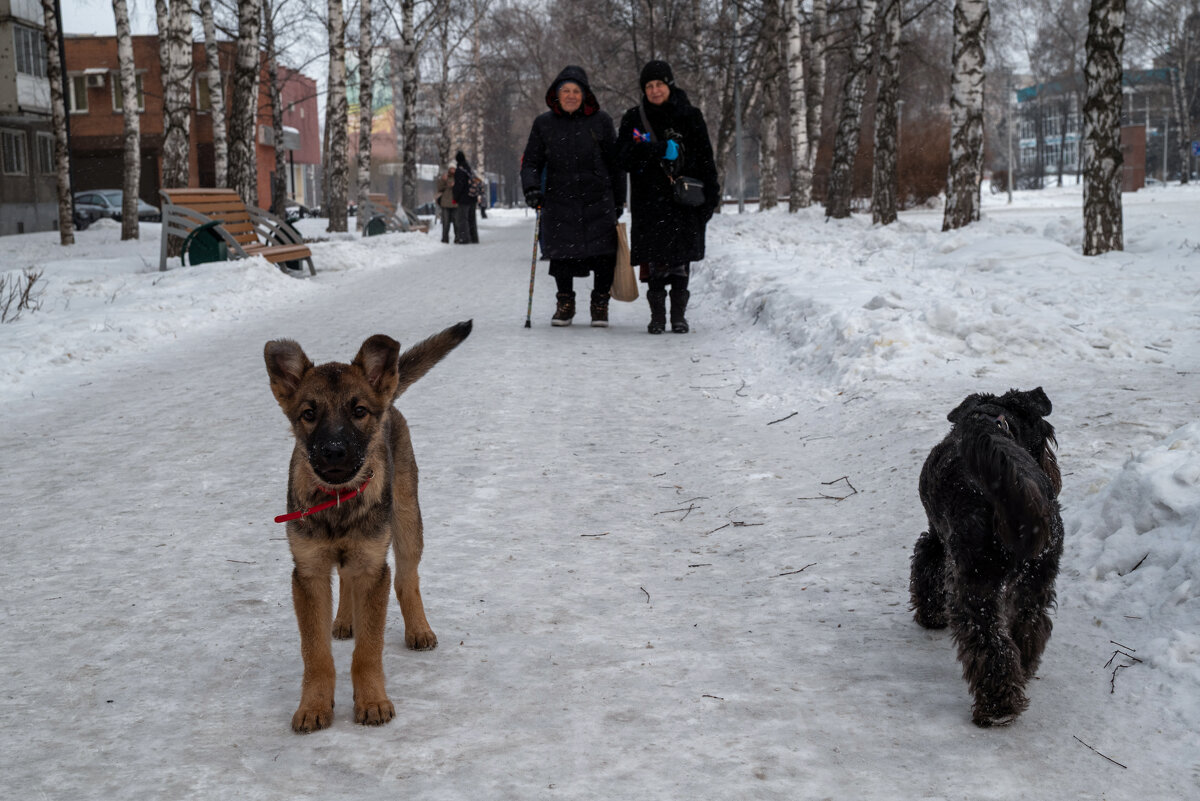 *** - Валерий Михмель *** - Валерий Михмель