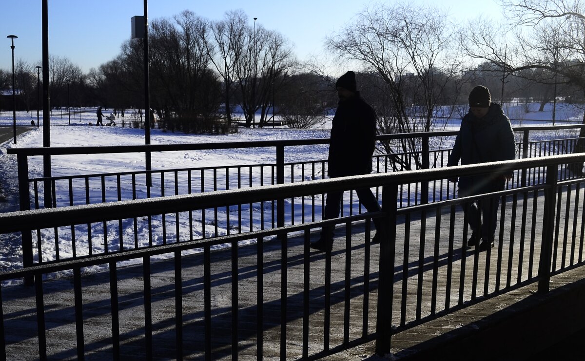 Гонимые солнцем. - Василий Палий Гонимые солнцем. - Василий Палий