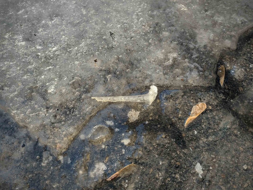 Ледяной гвоздь - Дмитрий Костоусов