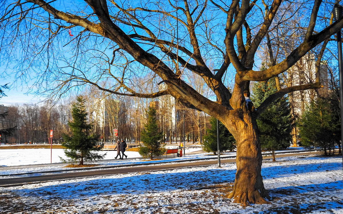 ***** - юрий поляков
