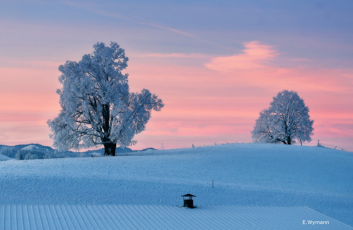 winter morning - Elena Wymann winter morning - Elena Wymann