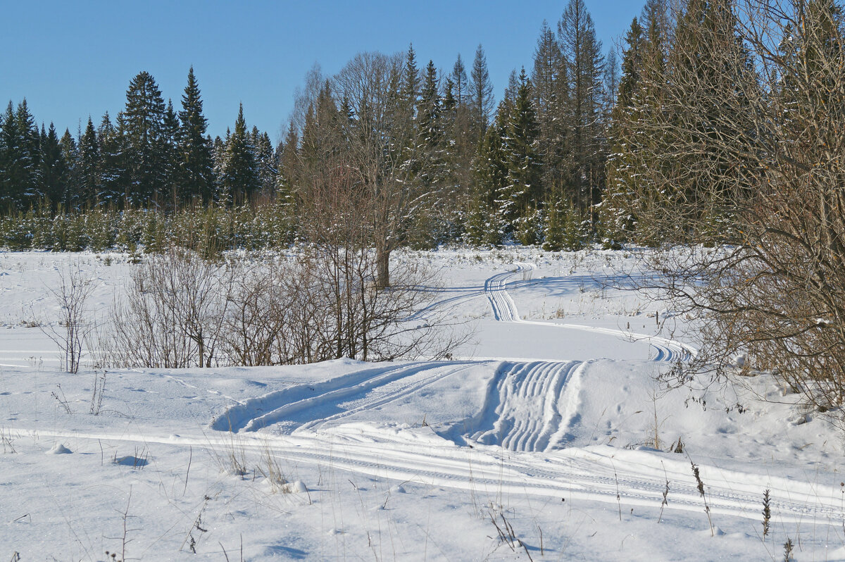 ... - Сергей Ц