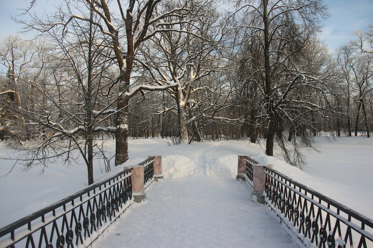 Зима в Царском Селе - Наталья Герасимова