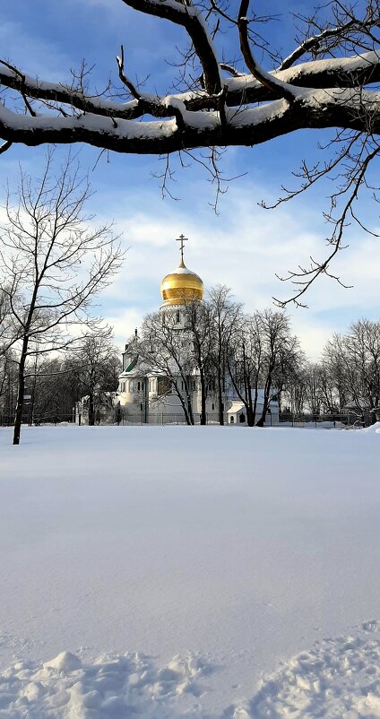 Зима в Царском Селе - Наталья Герасимова Зима в Царском Селе - Наталья Герасимова