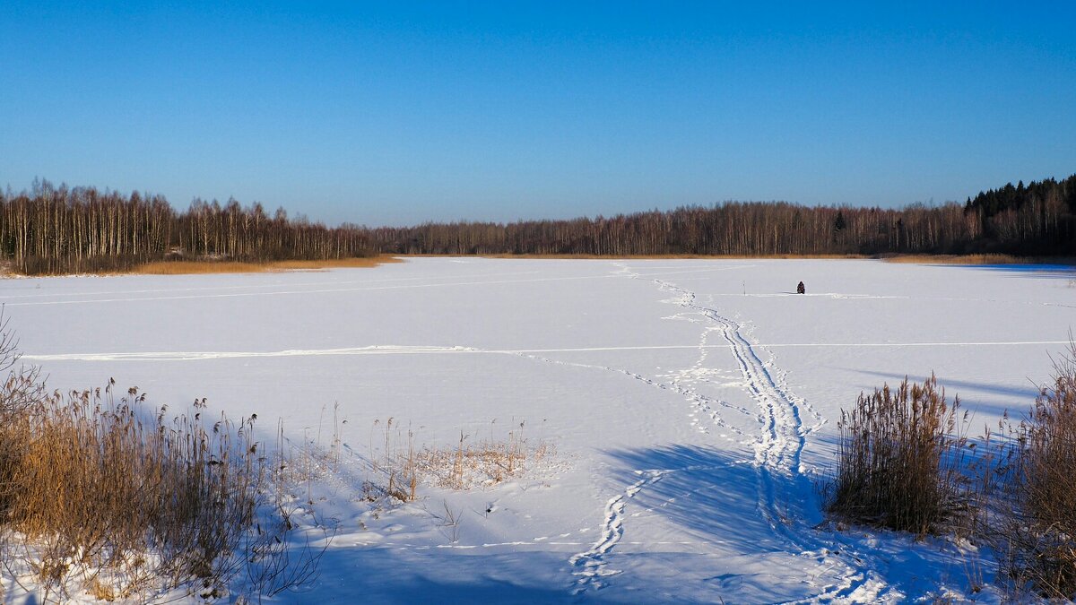 Для рыбака любая рыбалка праздник (репортаж из поездок по области) - Милешкин Владимир Алексеевич 