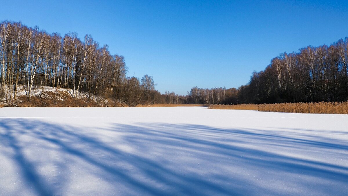 Свет и тени. - Милешкин Владимир Алексеевич 