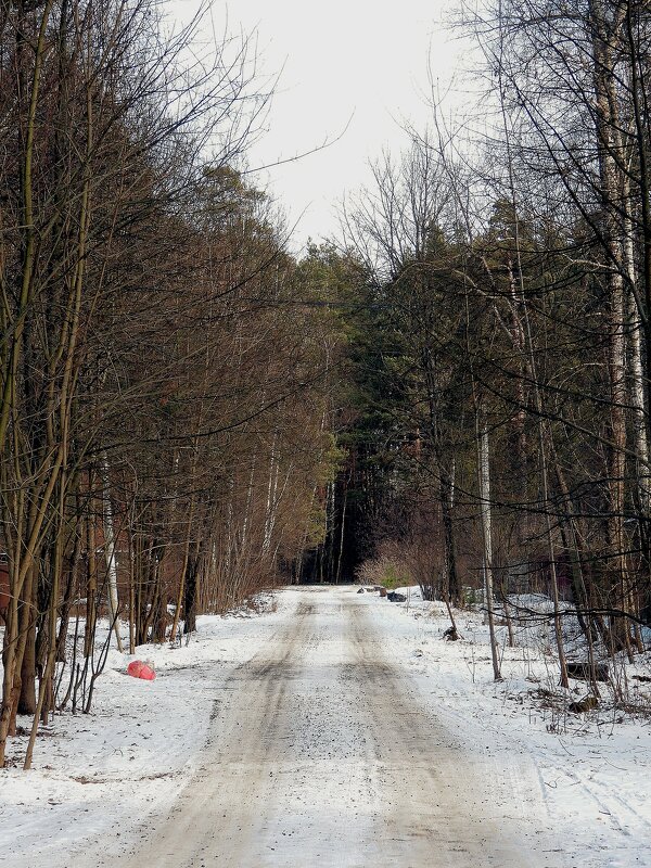 Загорянка. Зима - Леонид leo Загорянка. Зима - Леонид leo