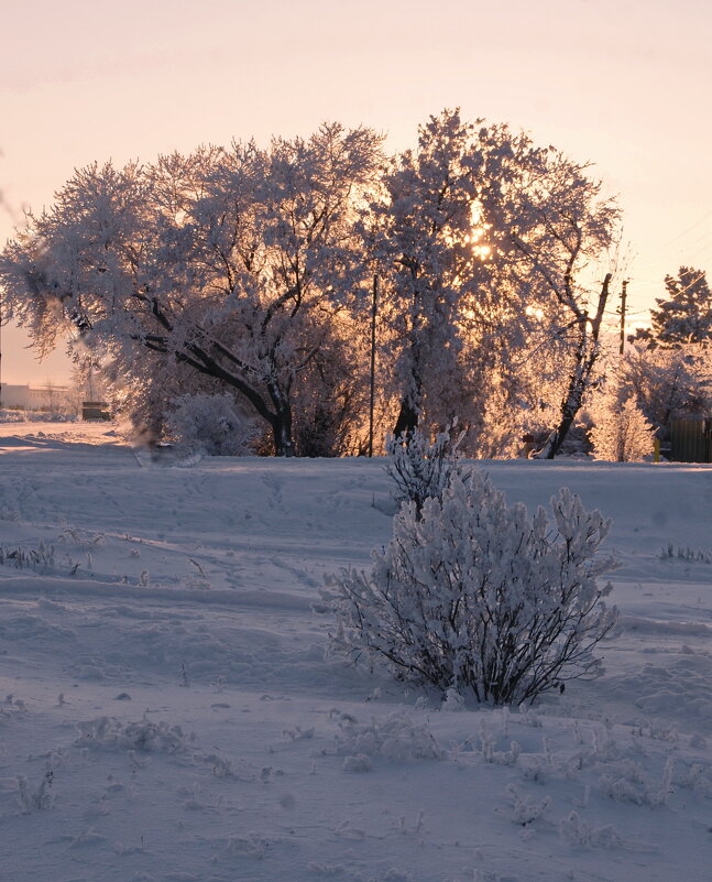 Утро. - сергей ермошкин