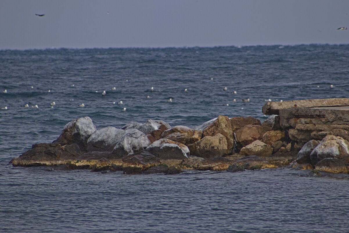 Причал - Giant Tao /