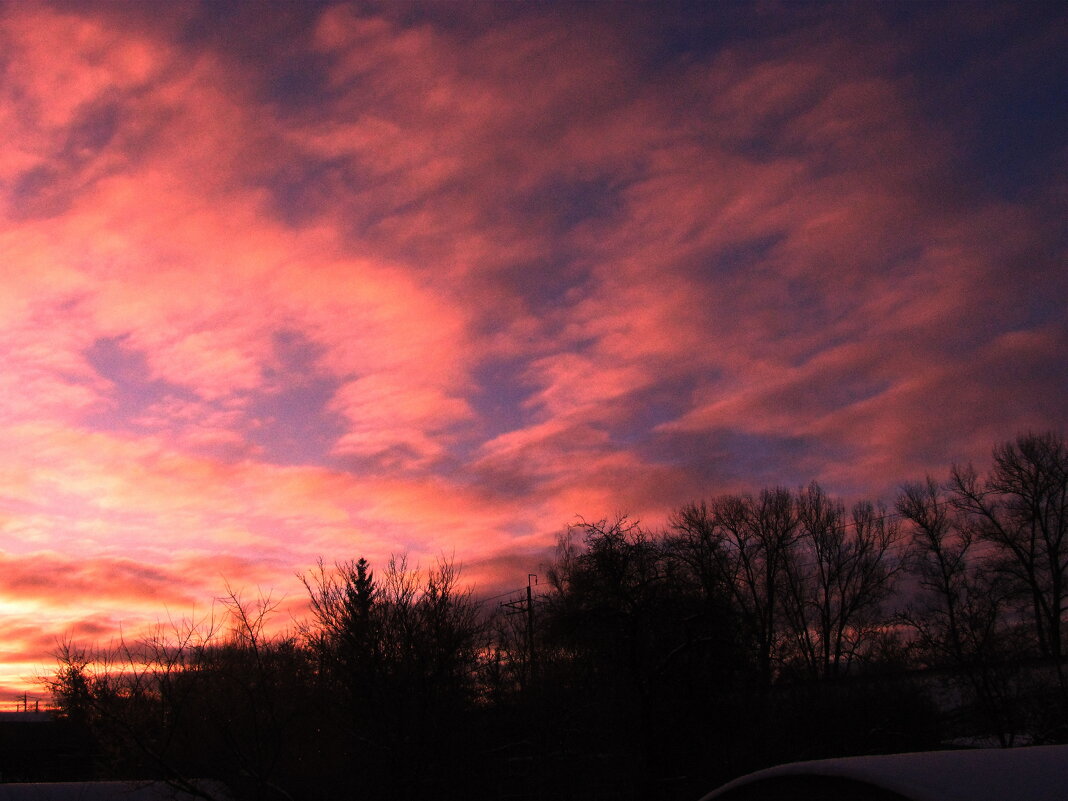 Утренняя красота - Людмила Смородинская
