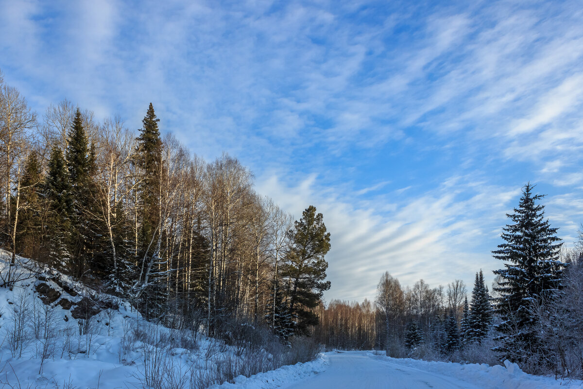 Дорога в тайге - Сергей Борисович Дорога в тайге - Сергей Борисович