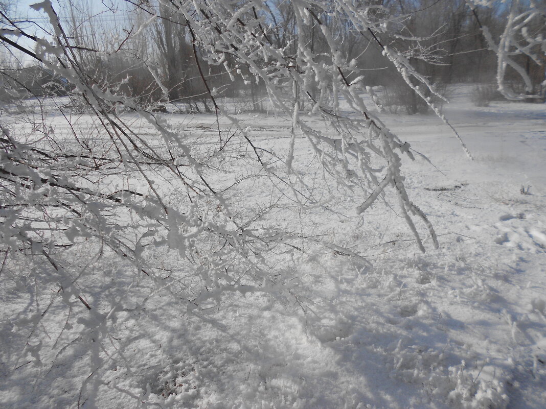 февраль - Елена Шаламова февраль - Елена Шаламова
