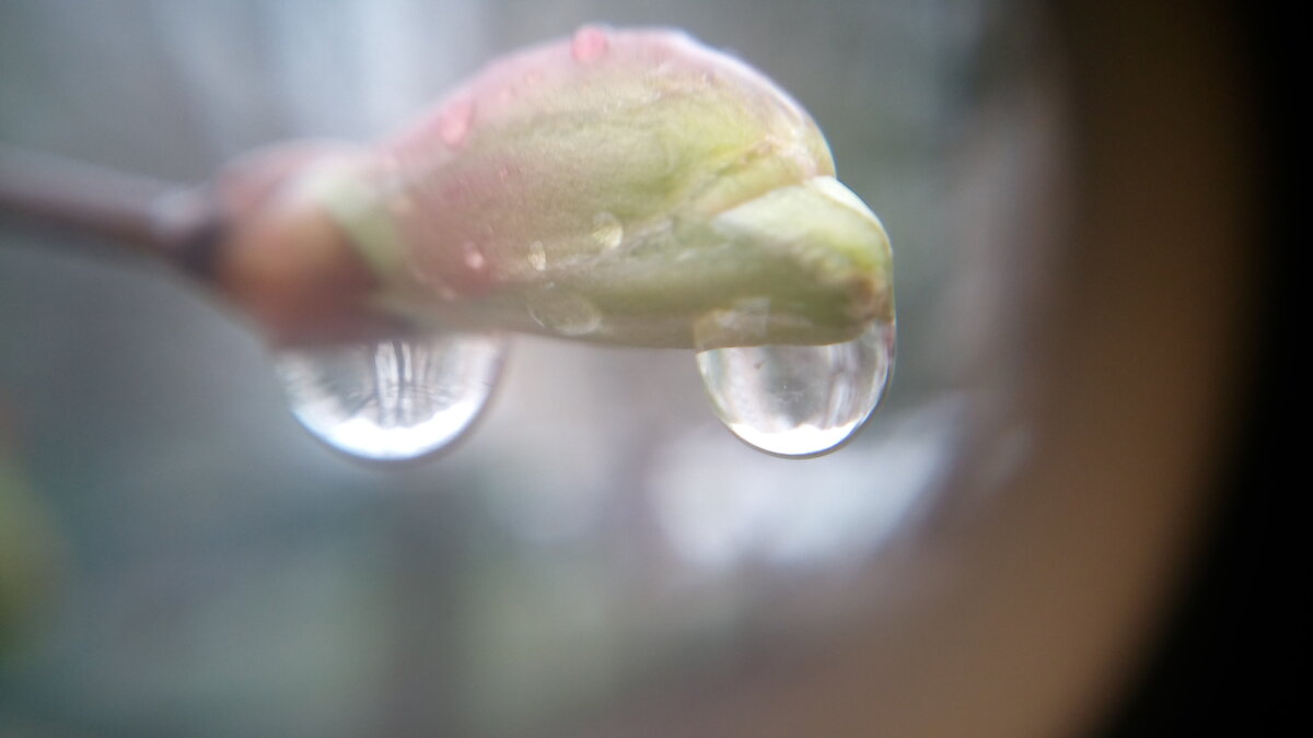 ,,, - Сергей Тимоновский