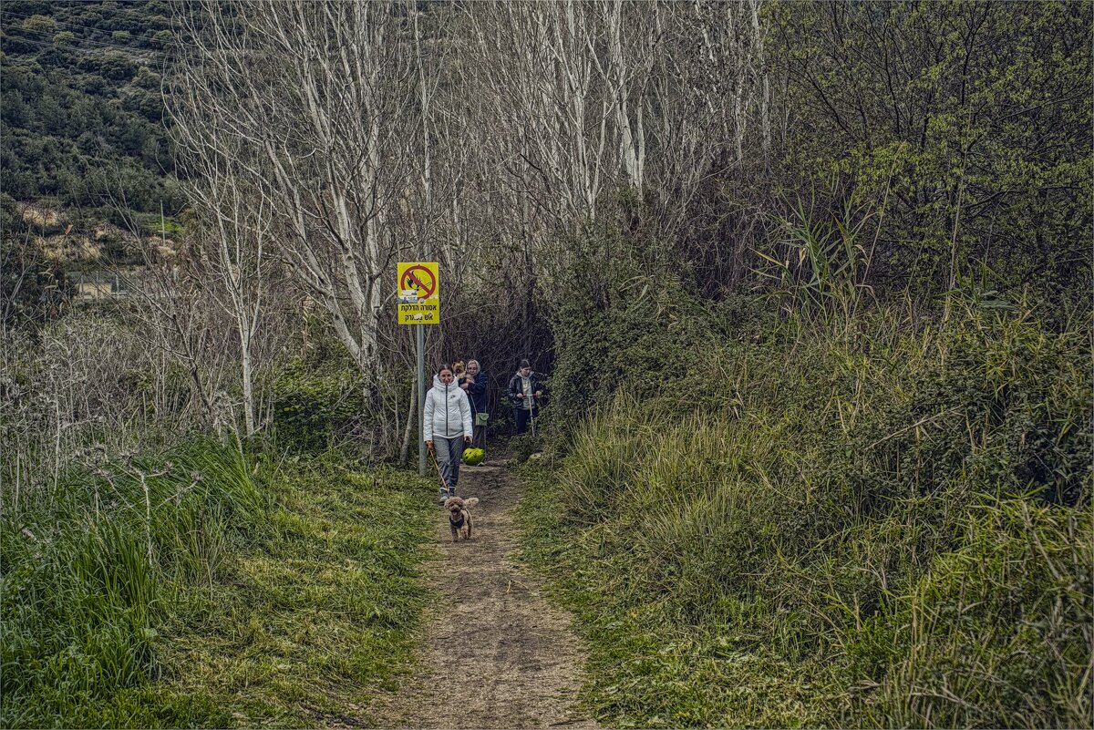 В долине Кирьят Харошат Вальруй. Под Кирьят-Тивоном 2025г - ujgcvbif 