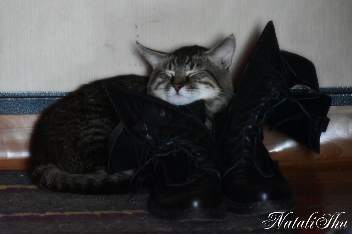 Умаялся маленький. - Наталья Вязигина