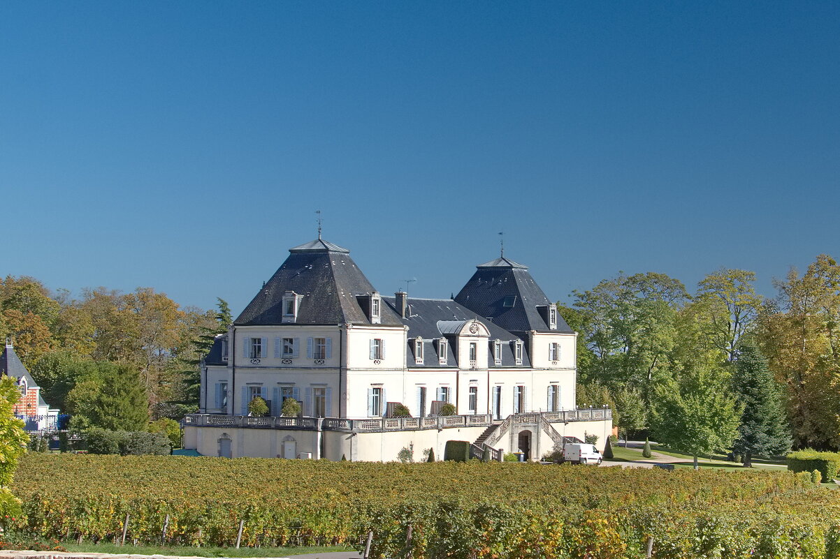 Замок 19 века, сегодня гостиница утопающая в виноградниках Бургундии - Sergey Grim Замок 19 века, сегодня гостиница утопающая в виноградниках Бургундии - Sergey Grim