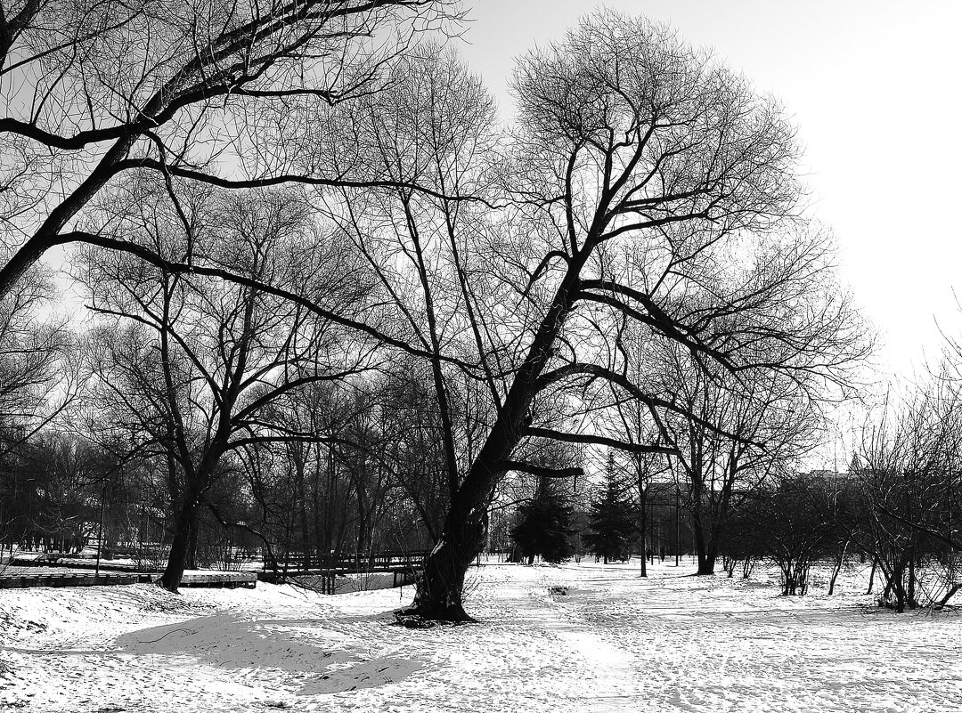 К солнцу! - Василий Палий К солнцу! - Василий Палий