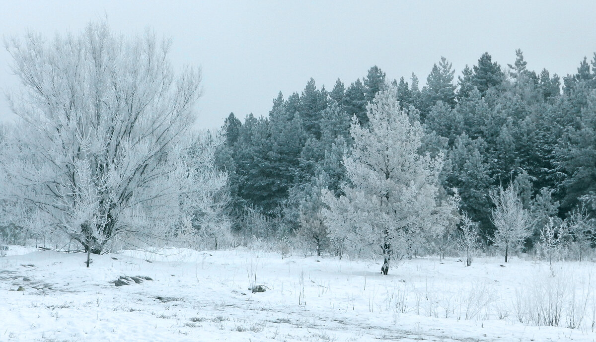 * - Лера * - Лера