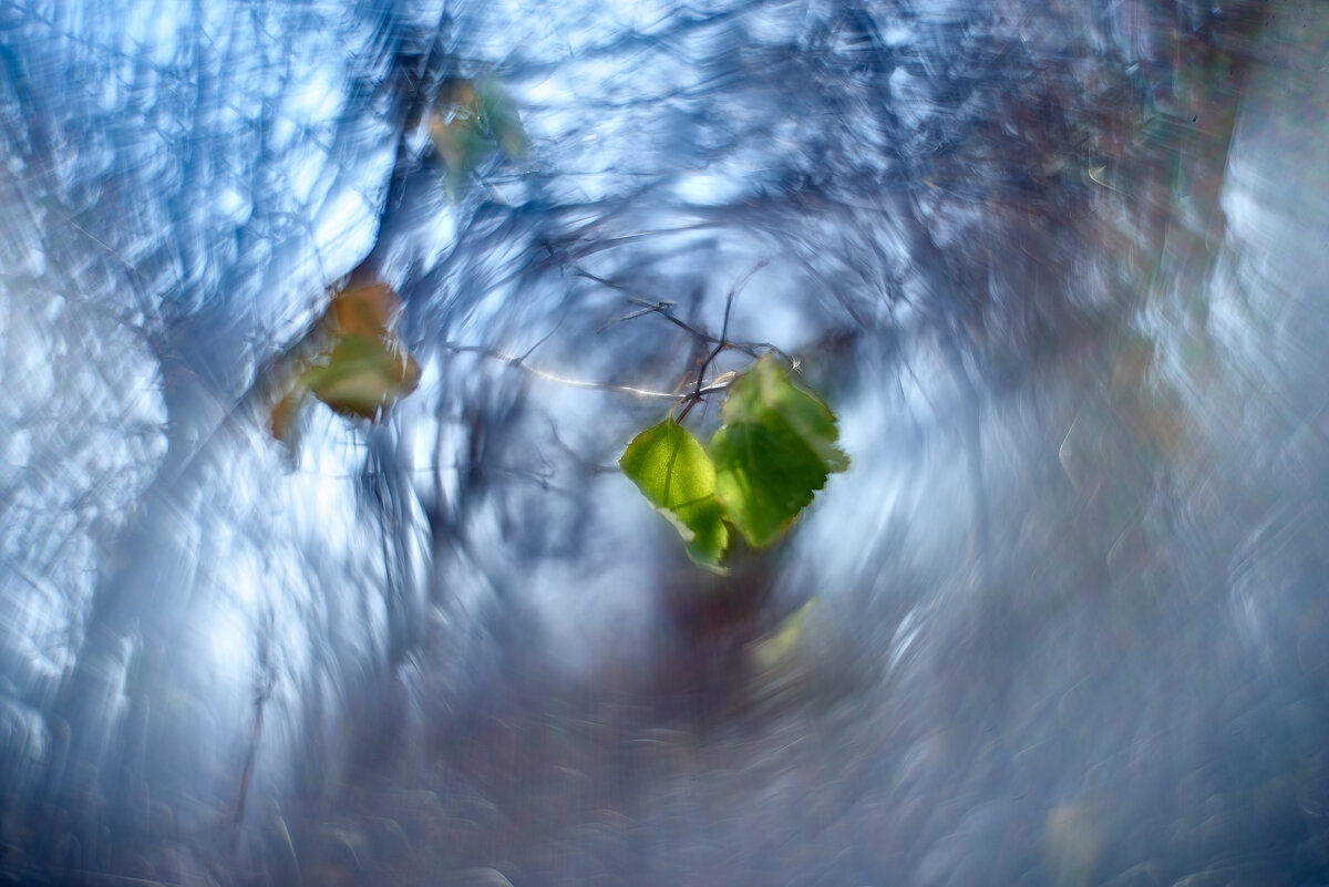 стойкость в февральские морозы - Александр Леонов