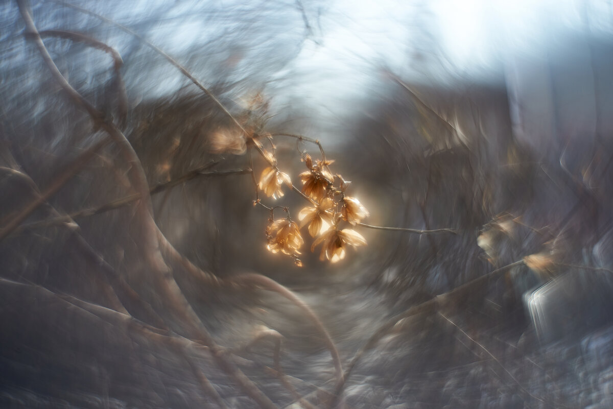 солнечный февральский день - Александр Леонов