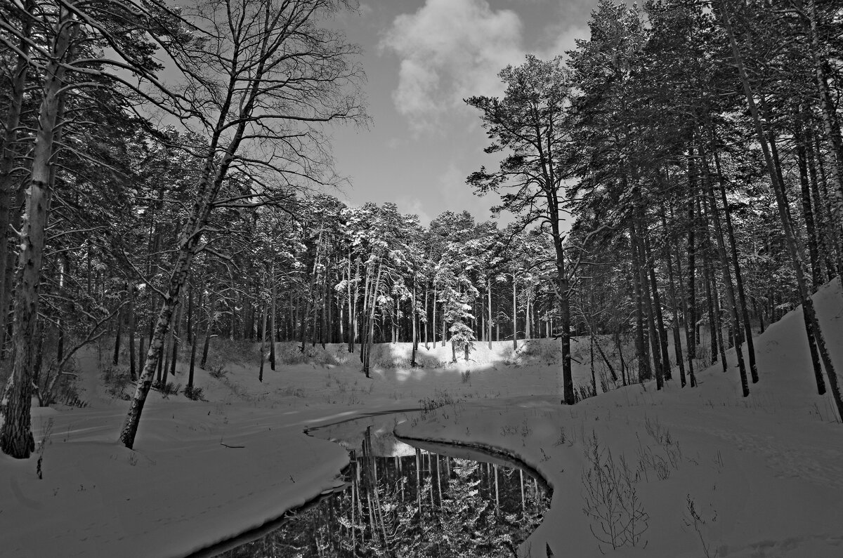 Ручей - Сергей Швечков Ручей - Сергей Швечков