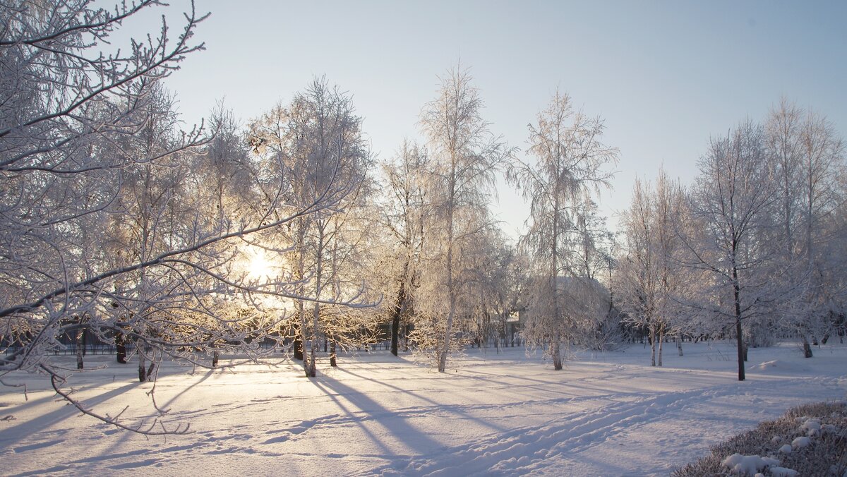 В парке - Сергей Швечков В парке - Сергей Швечков
