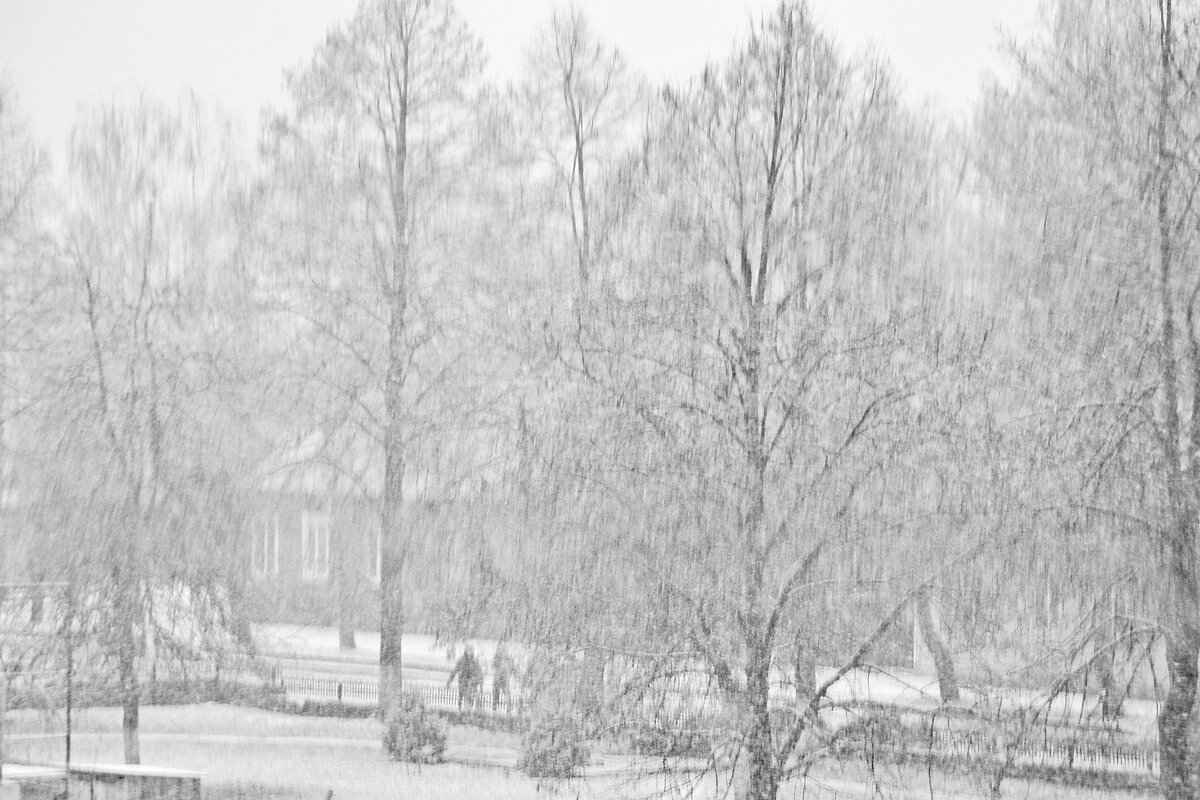 Из-за сильного снегопада видимость почти нулевая - Елена Пономарева