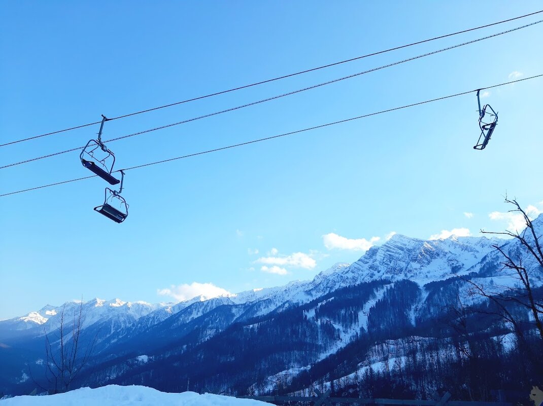 Роза хутор - Tata Wolf