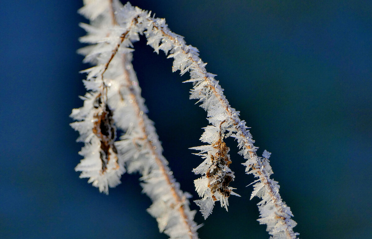февраль. сегодняшнее утро 4 - Александр Прокудин февраль. сегодняшнее утро 4 - Александр Прокудин
