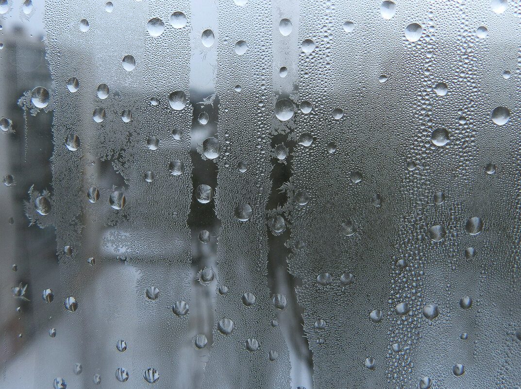 * - Лера * - Лера