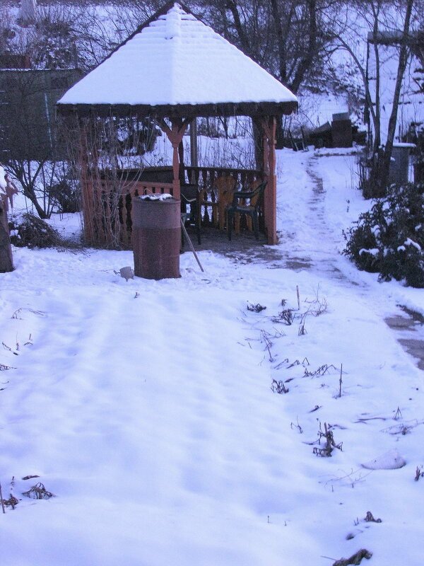 Мой сад февральский - Людмила Смородинская