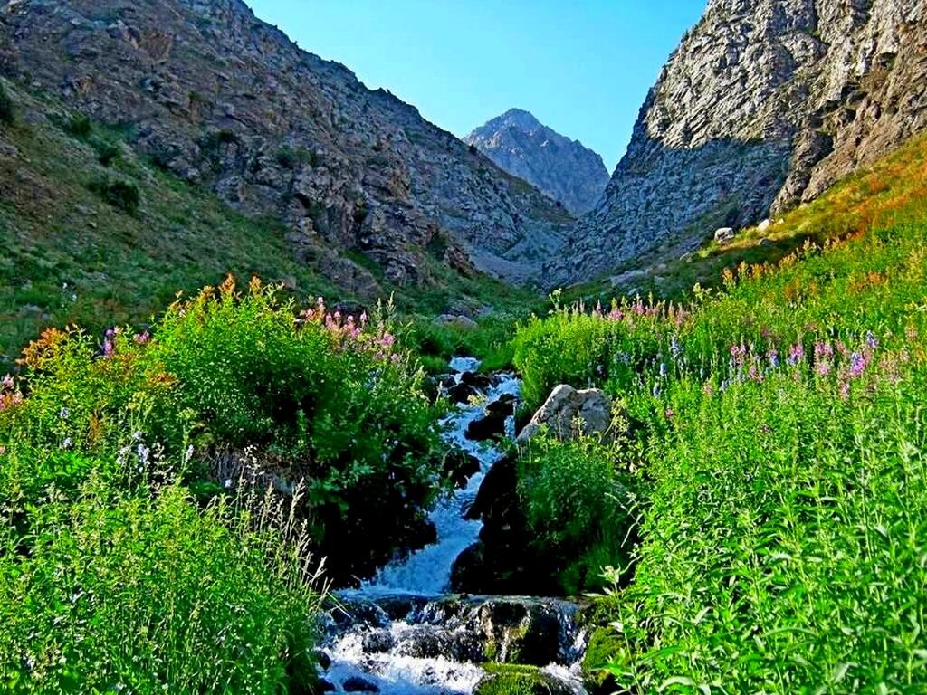 ГОРНАЯ ПРОГУЛКА. - Виктор Осипчук ГОРНАЯ ПРОГУЛКА. - Виктор Осипчук