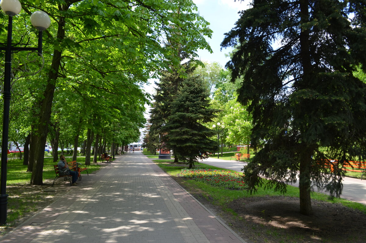 ,,, - Сергей Тимоновский ,,, - Сергей Тимоновский