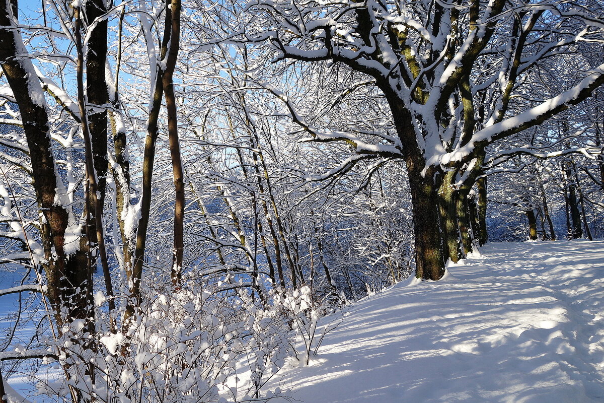 Февраль - Рита Симонова