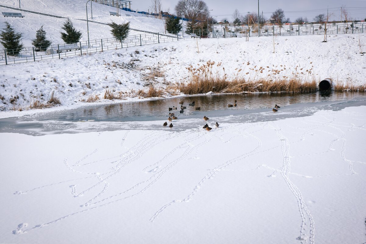 Ростовские зарисовки - Александр Гапоненко
