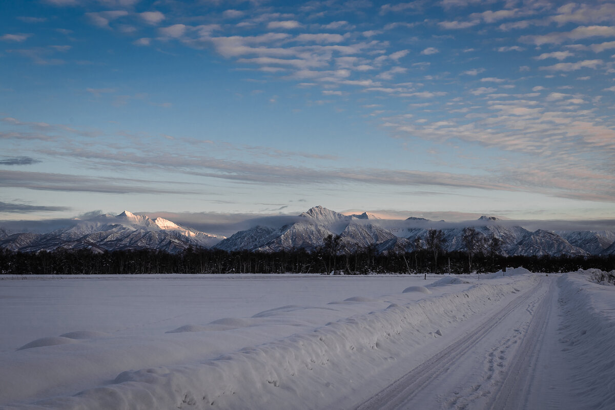 ... - Жора Житников ... - Жора Житников